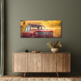 Tablou cu mașină în câmp (120x50 cm)