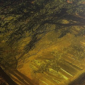 Tablou cu pădure (120x50 cm)