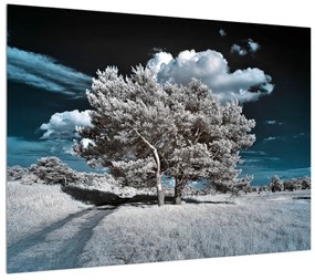 Tablou cu pom alb ca neaua (70x50 cm), în 40 de alte dimensiuni noi