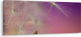 Tablou cu floarea norocul (120x50 cm)