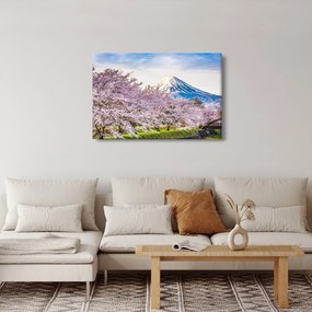 Tablou - Japonia în primăvară (90x60 cm)