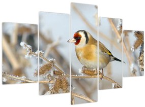 Tablou - Ciredeaua (150x105 cm)