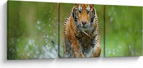 Tablou - Tigru care aleargă (cu ceas) (90x30 cm)
