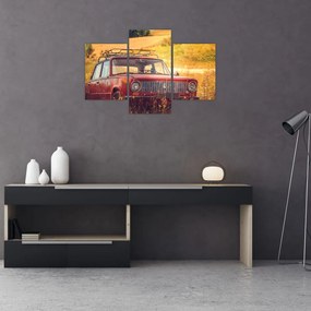 Tablou cu mașină în câmp (90x60 cm)