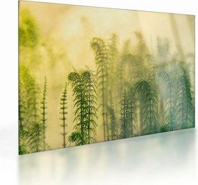 Tablou pe sticlă - Detaliu de primăvară natura cețoasă (70x50 cm)