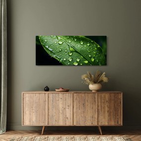 Tablou - Frunză după ploaie (120x50 cm)