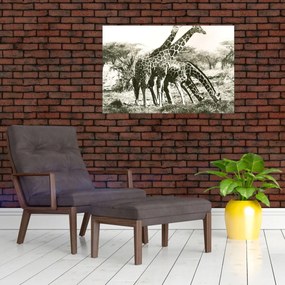 Tablou - Girafe, de epocă (90x60 cm)