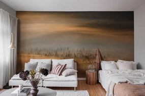 Fototapet, Golden Fir Forest, Rebel Walls