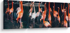 Tablou - turmă de flamingo (cu ceas) (90x30 cm)