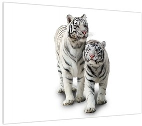 Tablou cu tigrul alb (70x50 cm), în 40 de alte dimensiuni noi