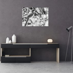 Tablou pe sticlă - Bluebird în timpul iernii (70x50 cm)