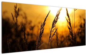 Tablou - Apus de soare (120x50 cm)