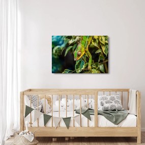 Tablou cu cameleon (90x60 cm)
