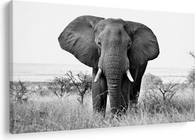 Tablou - Elefantul african II. (90x60 cm)