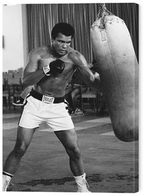 Tablou pe pânză Muhammad Ali - Punch Bag