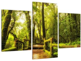 Tablou junglei cu mușchi (90x60 cm)