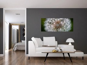 Tablou cu păpădie (120x50 cm)