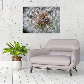 Tablou pe sticlă cu păpădie (70x50 cm)