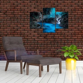 Tablou - Noaptea magică în pădurea tropicală (90x60 cm)