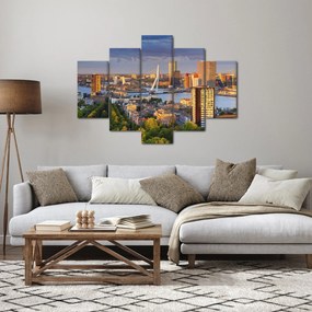 Tablou - Panorama Rotterdamului, Țările de Jos (150x105 cm)