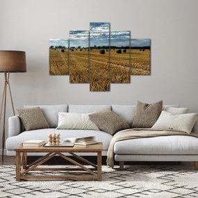Tablou cu câmp recoltat (150x105 cm)