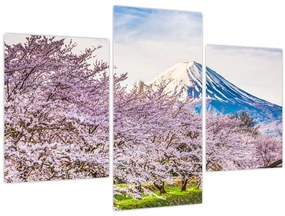 Tablou - Japonia în primăvară (90x60 cm)