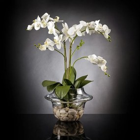 Aranjament floral LIGHT ATOLLO 2 PHALENOPSIS MEDIUM 1141374.95