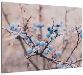 Tablou pe sticlă cu fructe pe tufiș (70x50 cm)