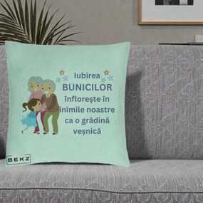 Cadou pentru Bunici - Perna Personalizata Bunicii Iubirea Infloreste Bunici cu Nepoata Colorat, 40x40 cm, Verde Menta, Husa Detasabila, Perna Inclusa, BEKZ®