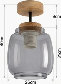 BRILAGI - Lustră LED aplicată R GLASS 1xE27/60W/230V Ø 26 cm stejar/gri fumuriu