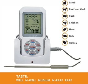 Termometru digital - termosondă HiNOVA - gri