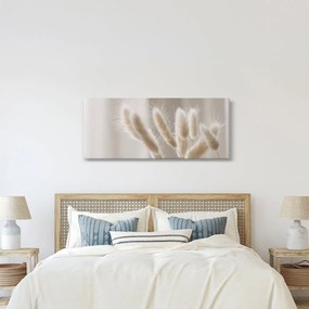Tablou - Cozi de iepure (120x50 cm)