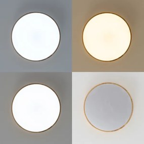 Brilagi - Plafonieră LED dimabilă PINE LED/60W/230V + telecomandă