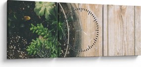 Tablou - Terariu de sticlă (cu ceas) (90x30 cm)