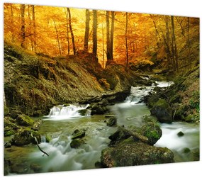 Tablou - Pădure (70x50 cm)