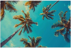 Tablou - Palmieri înalți (90x60 cm)