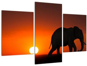 Tablou cu elefant în apus de soare (90x60 cm)