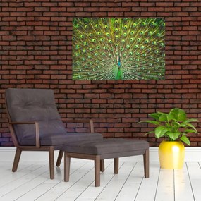 Tablou - Peacock (90x60 cm)