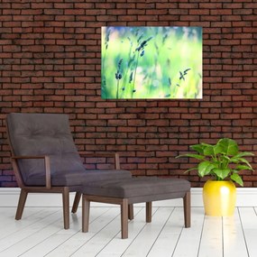 Tablou - Detaliu pajiște (70x50 cm)