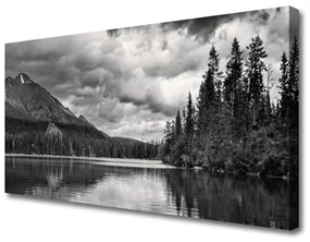 Tablou pe panza canvas Mountain Forest Lake Nature Gray