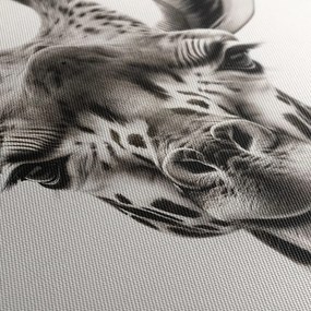 Tablou portret girafă
