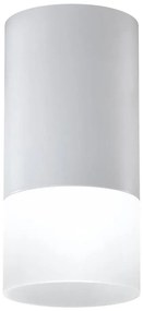 Spot TUBA 1xGU10/15W/230V gri/alb