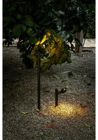 Lampă LED de exterior FARO 75570 BROT LED/7W/230V 20 cm IP65