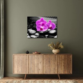 Tablou - Orhidee violet (70x50 cm)