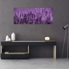 Tablou - Lavanda (120x50 cm)