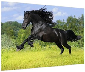 Tablou - Cal cu o coamă curgătoare (90x60 cm)