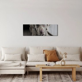 Tablou cu cățeluș (cu ceas) (90x30 cm)