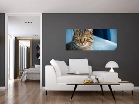 Tablou - Pisica domestică (120x50 cm)