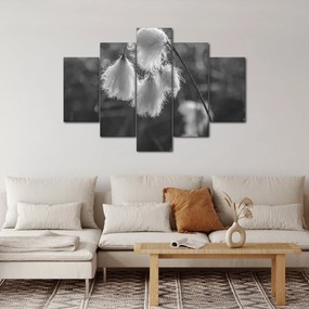 Tablou - Iarba de bumbac (150x105 cm)