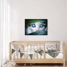 Tablou cu pisica (70x50 cm)